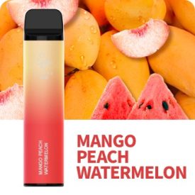 Elf Bar 3600 - Mango Peach Watermelon 5% - AUFLADBAR
