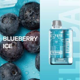 ELF BAR TE5000 - BLUEBERRY ICE 5% - AUFLADBAR