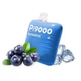 ELF BAR Pi9000 - Blueberry Ice 5% - AUFLADBAR