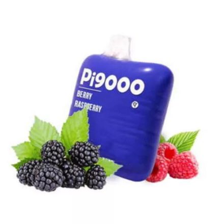 ELF BAR Pi9000 - Berry Raspberry 5% - AUFLADBAR