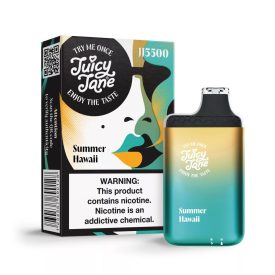 ELF BAR JJ5500 - Summer Hawaii 5% - AUFLADBAR